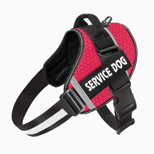High Visibility Pet Clothes: B2B Market Sourcing and Manufacturing