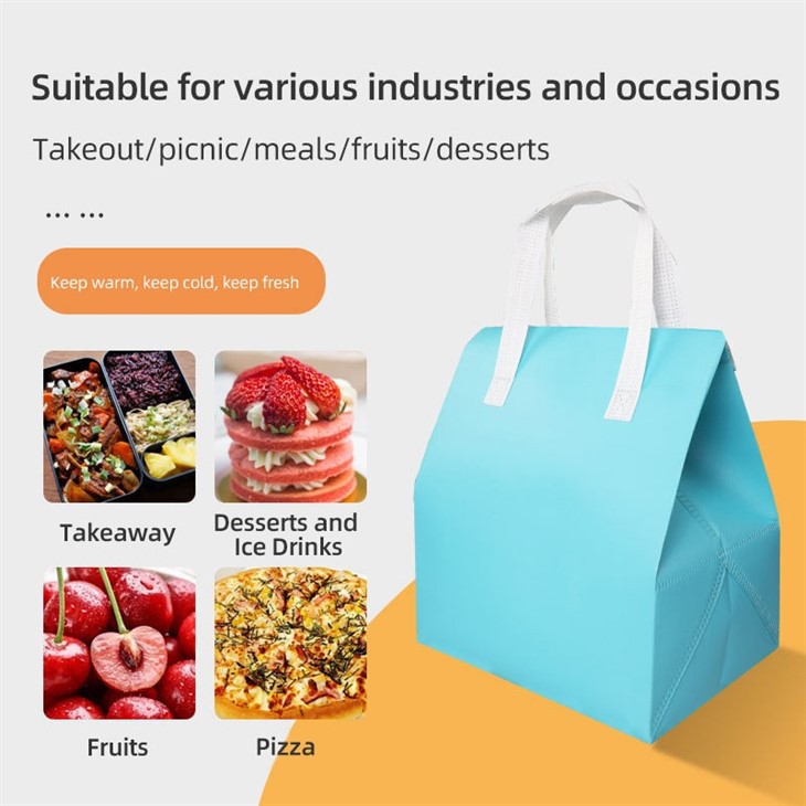 non-woven-insulated-bag-wholesale-manufacturer-display