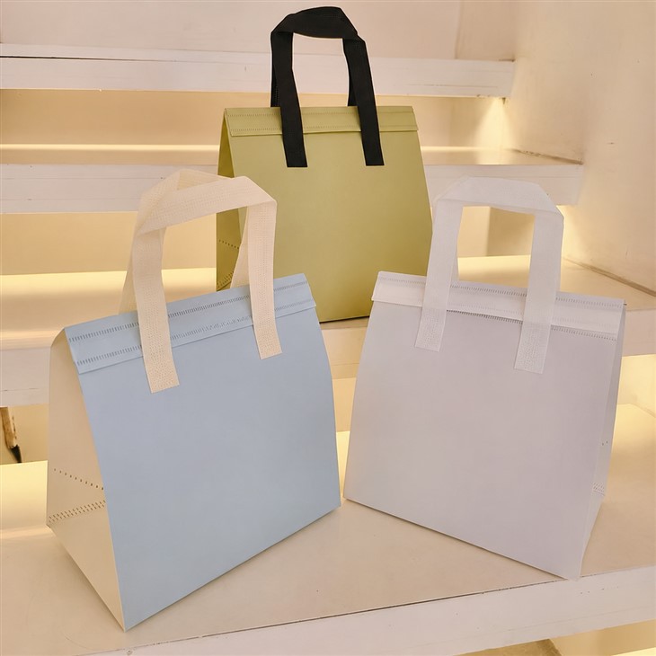 Non Woven Insulated Bag