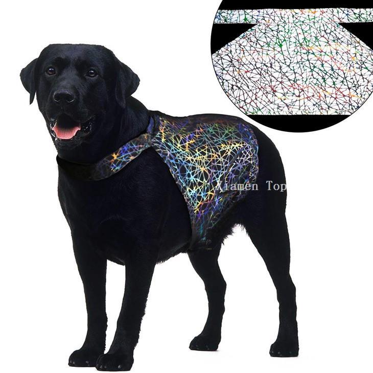 water-resistant-reflective-dog-jacket