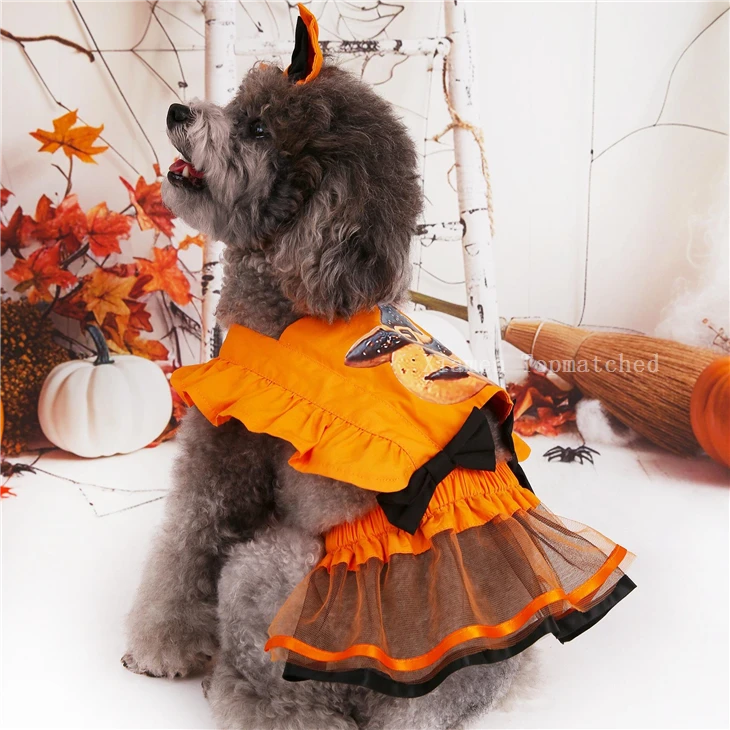 pumpkin-wizard-dog-halloween-costume